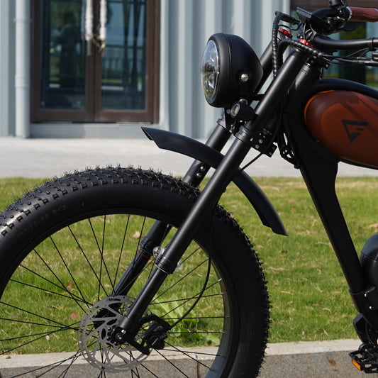 Air Ride Suspension Forks for Cheetah